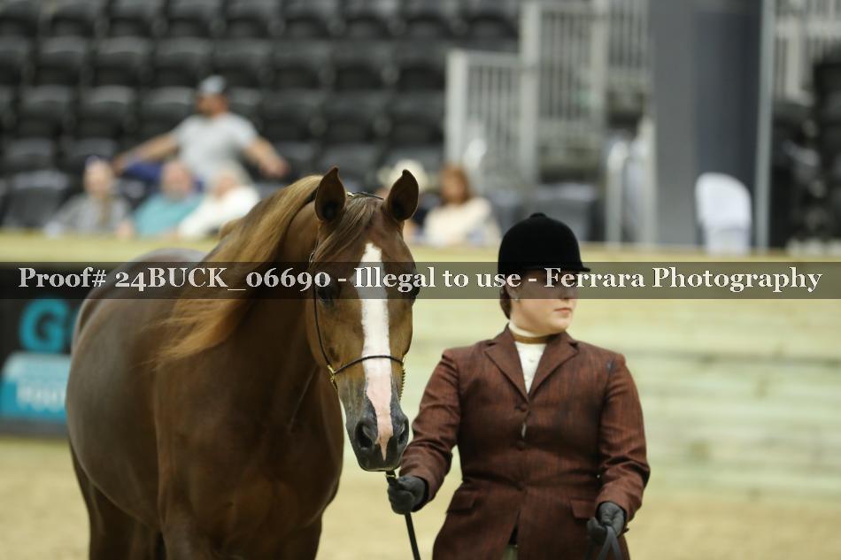 Proof 24BUCK_06690