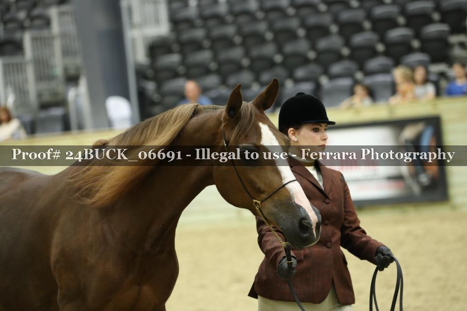 Proof 24BUCK_06691