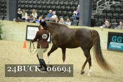 24BUCK_06694 proof