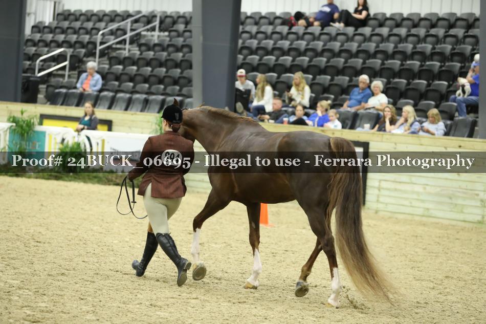 Proof 24BUCK_06695