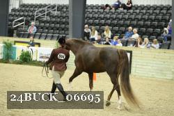 24BUCK_06695 proof