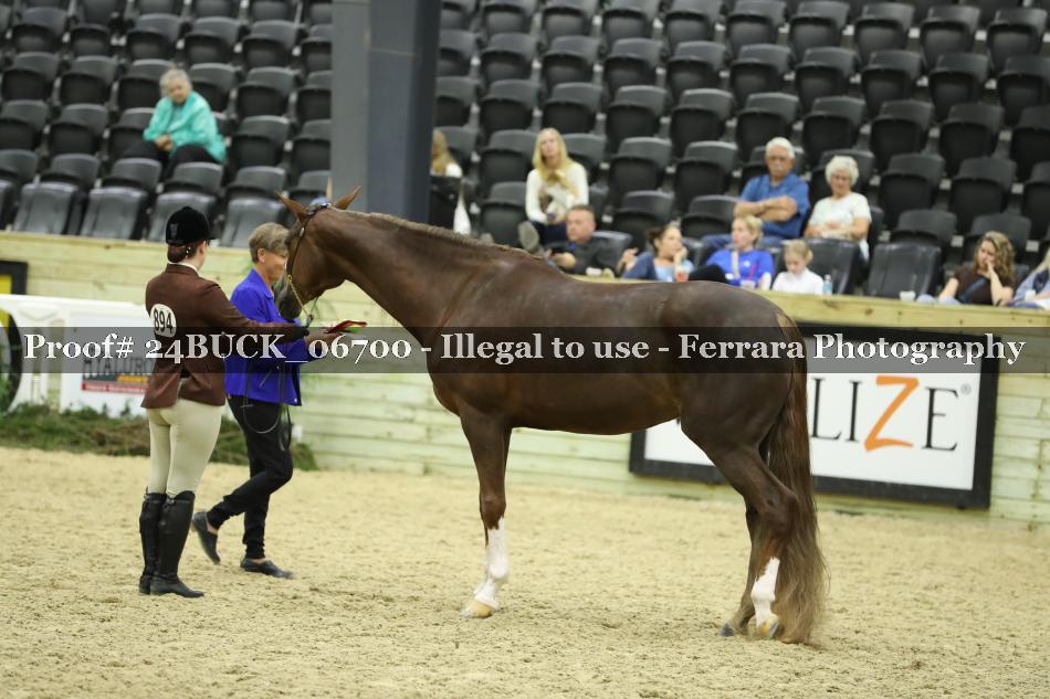 Proof 24BUCK_06700