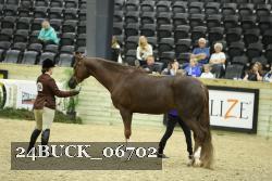 24BUCK_06702 proof