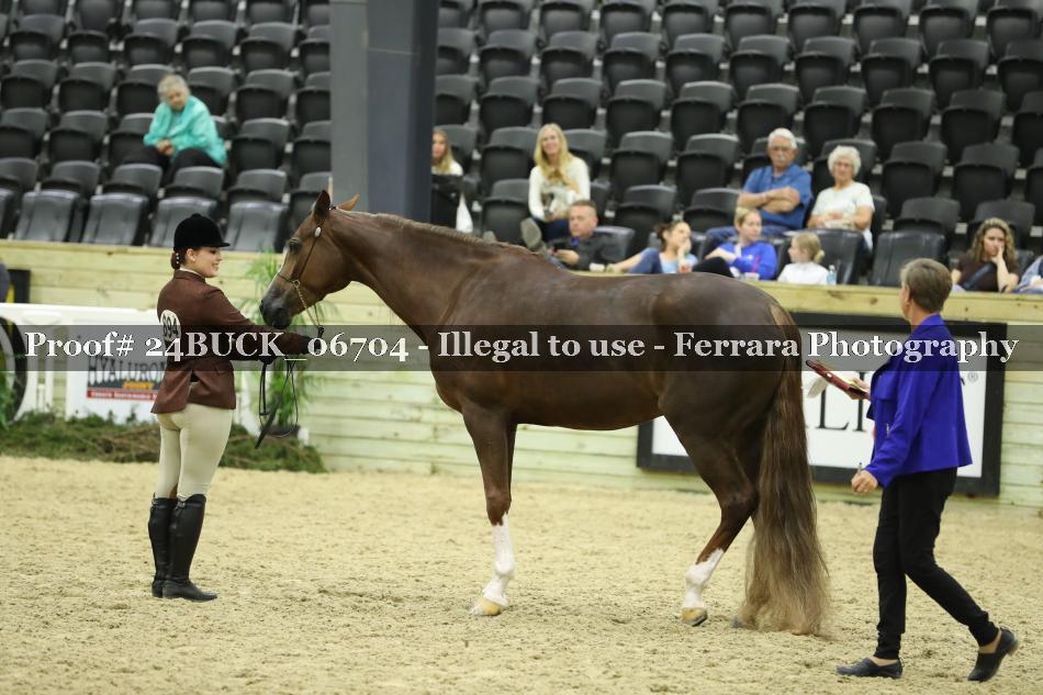 Proof 24BUCK_06704