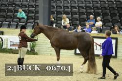 24BUCK_06704 proof