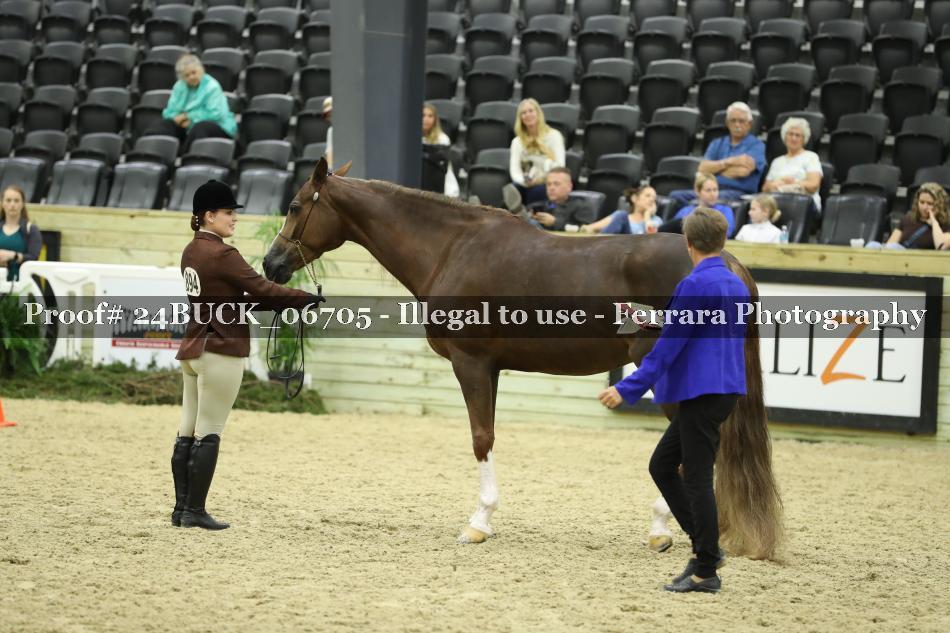 Proof 24BUCK_06705