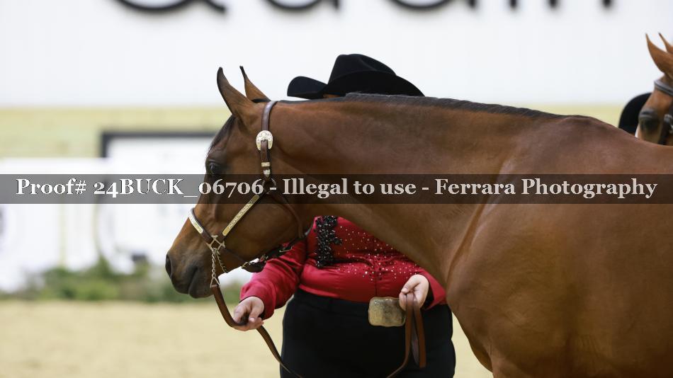Proof 24BUCK_06706