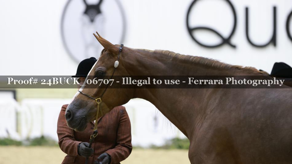 Proof 24BUCK_06707