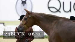 24BUCK_06707 proof