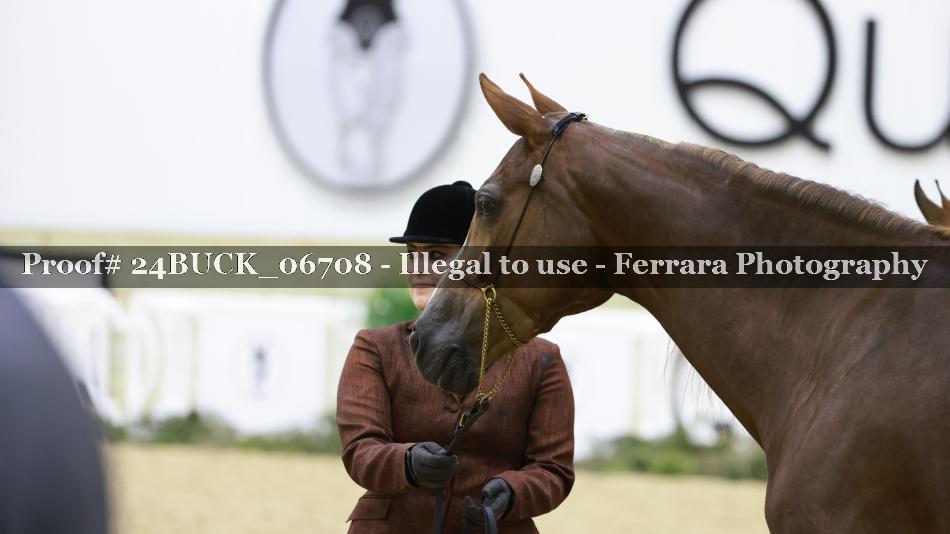 Proof 24BUCK_06708