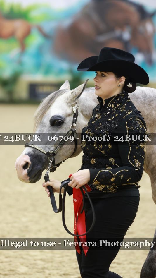 Proof 24BUCK_06709