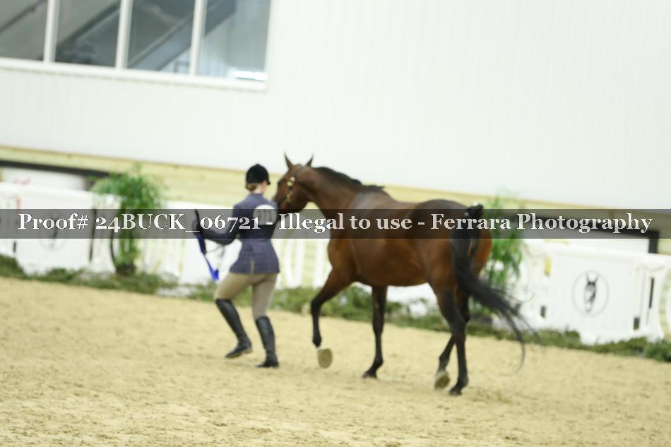Proof 24BUCK_06721