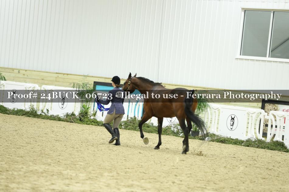 Proof 24BUCK_06723