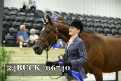 24BUCK_06740 proof
