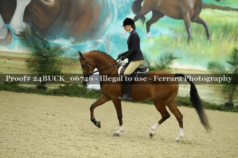 Proof 24BUCK_06746