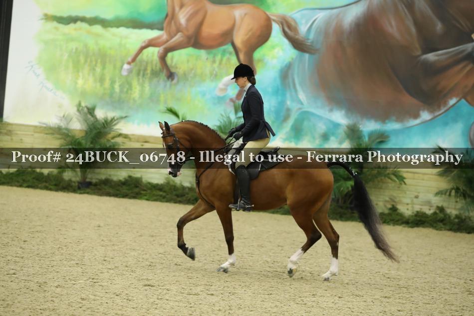 Proof 24BUCK_06748
