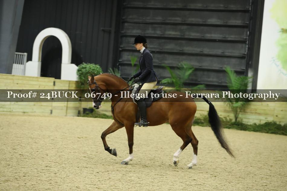 Proof 24BUCK_06749