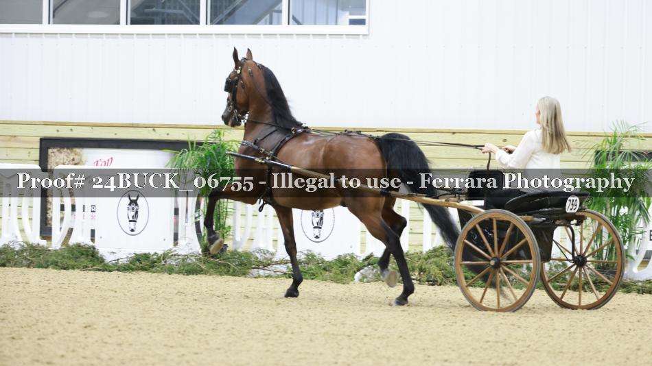 Proof 24BUCK_06755