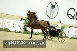 24BUCK_06756 proof