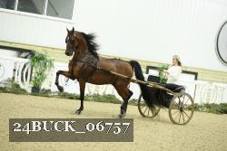 24BUCK_06757 proof