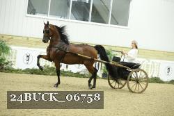 24BUCK_06758 proof