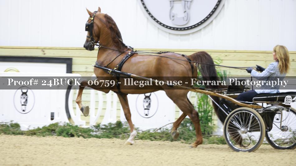 Proof 24BUCK_06759