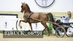 24BUCK_06759 proof