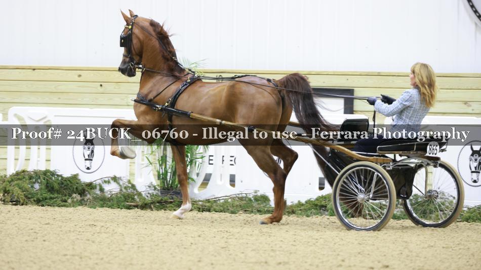 Proof 24BUCK_06760
