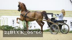 24BUCK_06760 proof