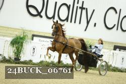 24BUCK_06761 proof