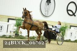 24BUCK_06762 proof
