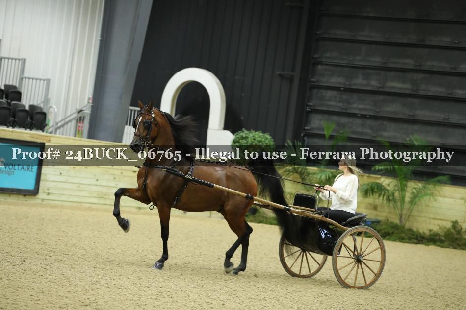 Proof 24BUCK_06765