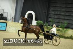 24BUCK_06765 proof