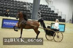 24BUCK_06766 proof