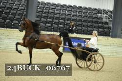 24BUCK_06767 proof