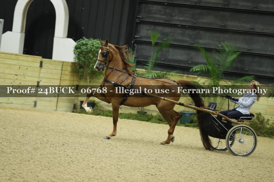 Proof 24BUCK_06768