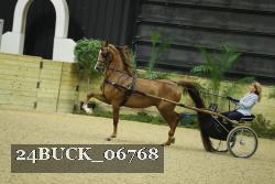 24BUCK_06768 proof