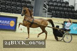 24BUCK_06769 proof