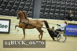 24BUCK_06770 proof