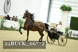 24BUCK_06772 proof