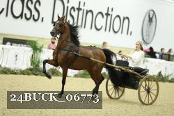 24BUCK_06773 proof