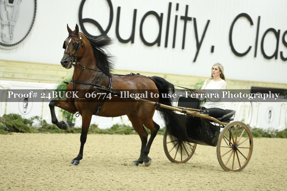Proof 24BUCK_06774