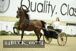 24BUCK_06774 proof