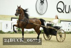 24BUCK_06775 proof