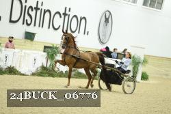 24BUCK_06776 proof