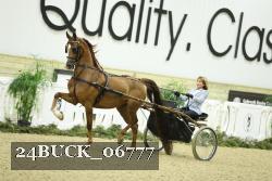 24BUCK_06777 proof