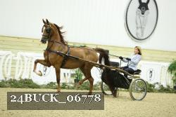 24BUCK_06778 proof