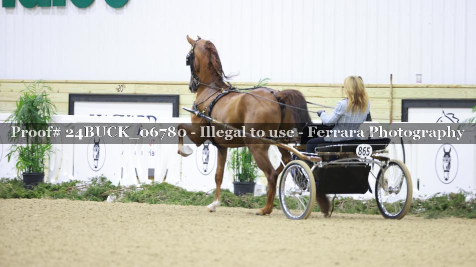 Proof 24BUCK_06780