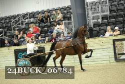 24BUCK_06784 proof