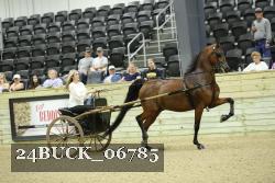 24BUCK_06785 proof